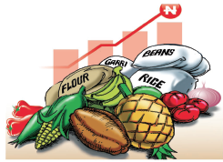 CRITICAL ISSUES IN FOOD SECURITY